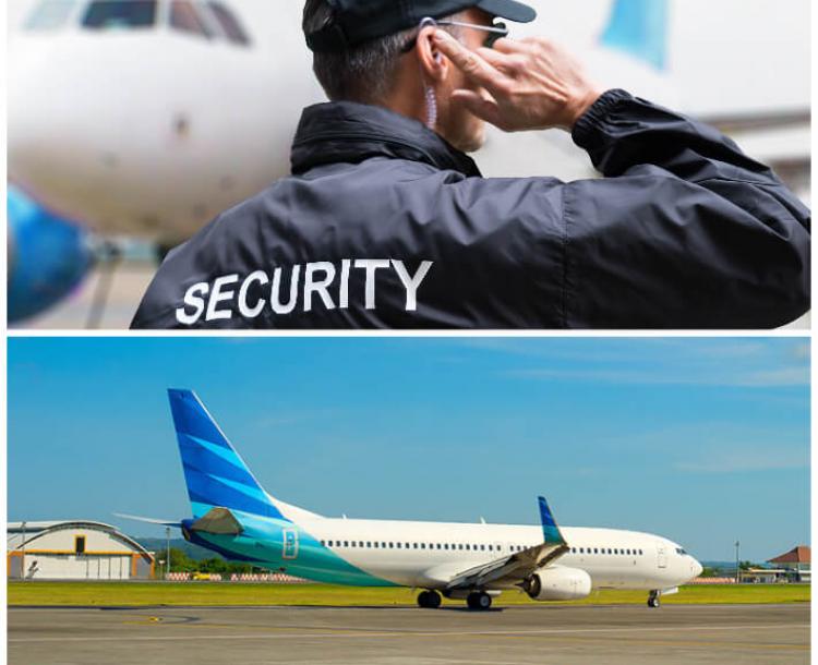 airlines security